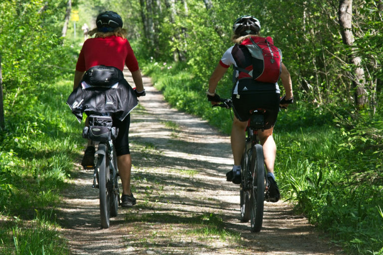 Fahrradfahrer auf einem Waldweg von hinten fotografiert.